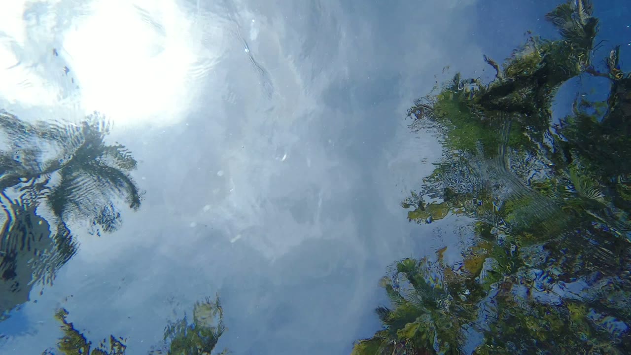 One second in, the sun glare sits high in the reflected sky while dark tree forms bend through the rippling water in Los Cabos, with no visible people.