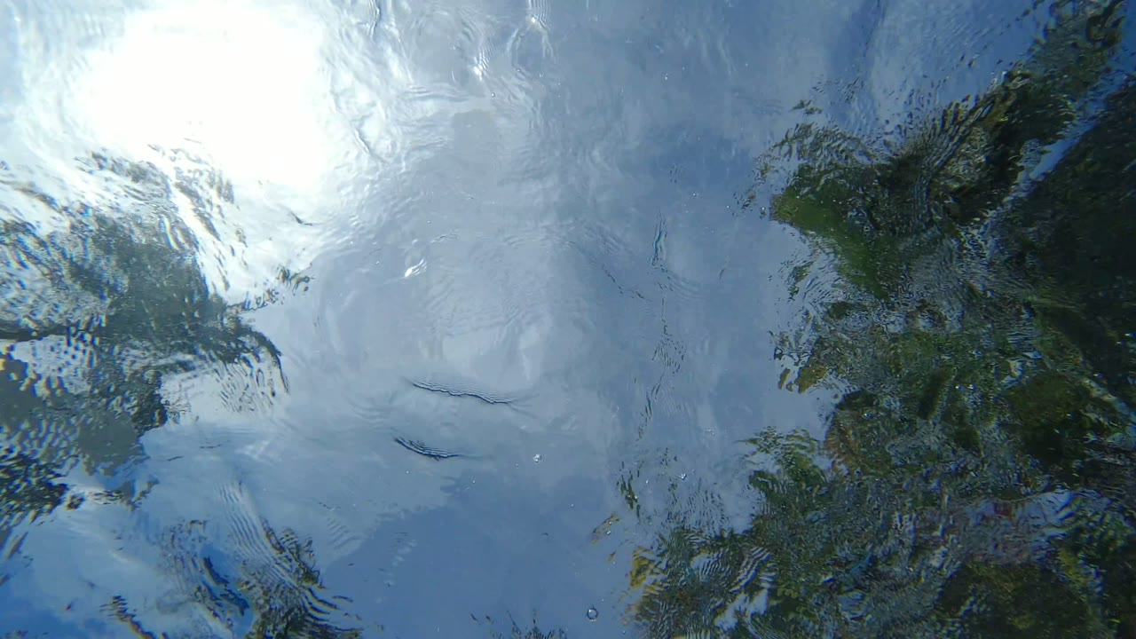 At 0:00, bright sunlight reflects across rippled blue water in Los Cabos, Mexico, with dark green foliage reflections at the edges and no visible people.