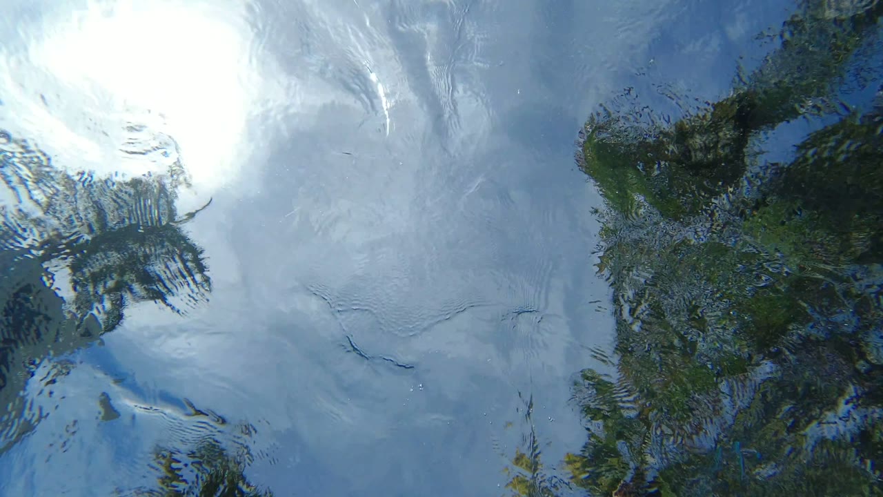 At 0:01, the white reflection sits near the upper center of the water surface, while green reflected foliage bends through the ripples and no visible people appear.