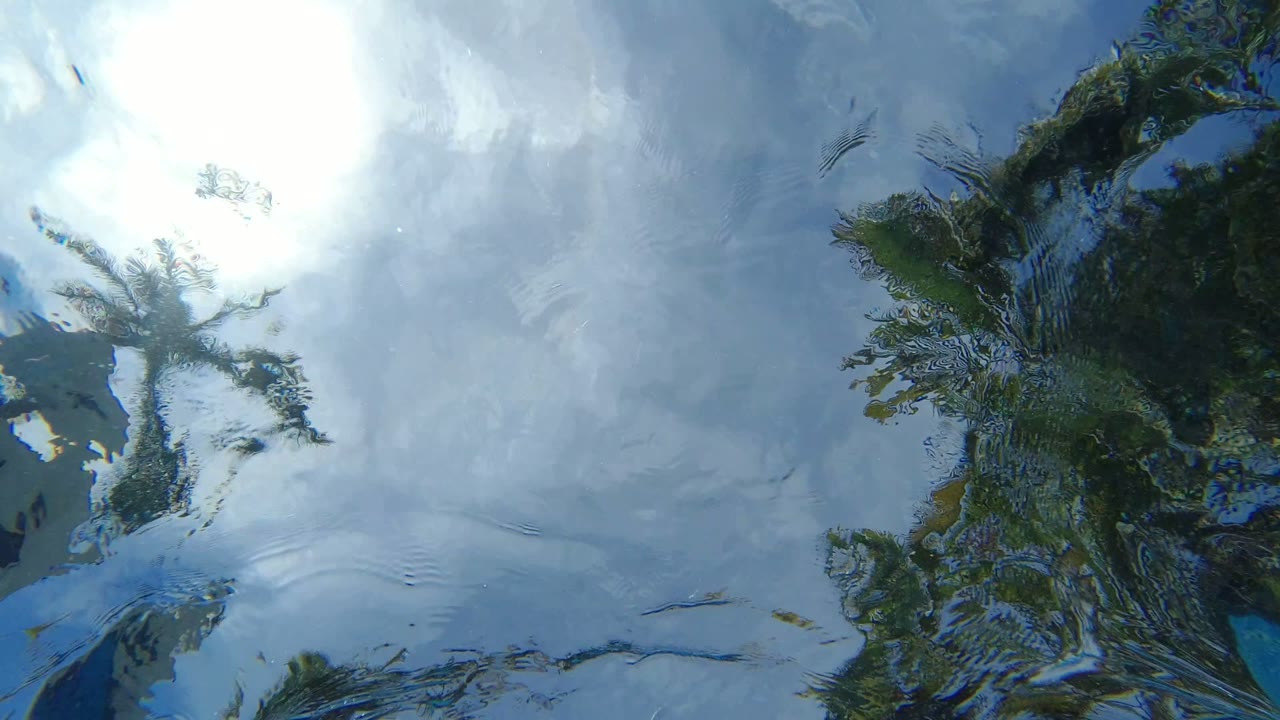Underwater view in Los Cabos, Mexico looking up at bright sun glare, pale clouds, and distorted dark green reflections on the rippled surface with no visible people.