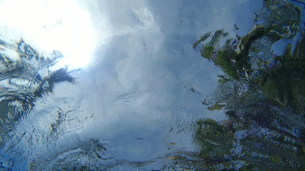 Underwater Los Cabos, Mexico frame with bright white sun glare near the top, blue water across the view, and dark green reflected shapes bending across the surface with no visible people.