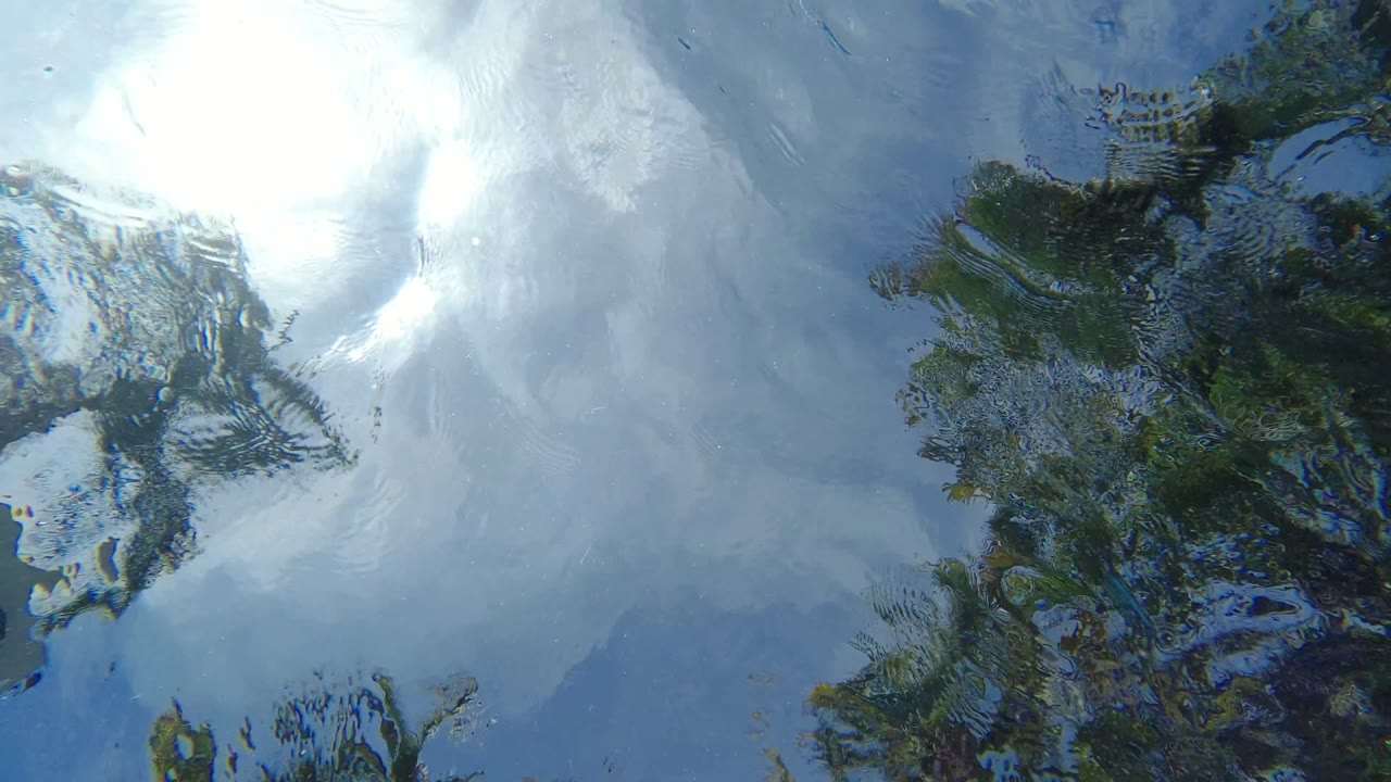Wavy water reflecting blue sky, white clouds, and palm fronds.