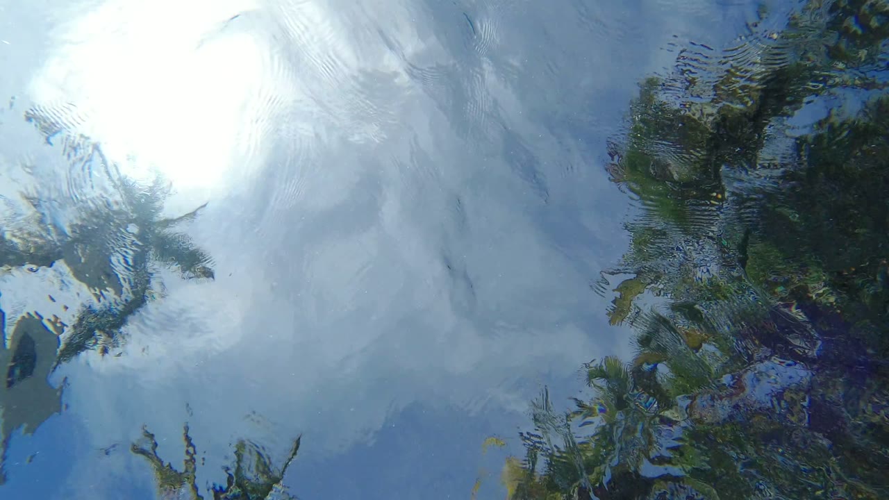 Los Cabos reflected palm fronds appear darker near the center while a bright cloud patch spreads across the rippled water, with no visible people.