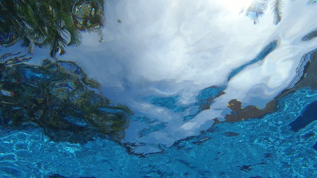 Blue rippling water reflecting clouds and dark palm shapes.
