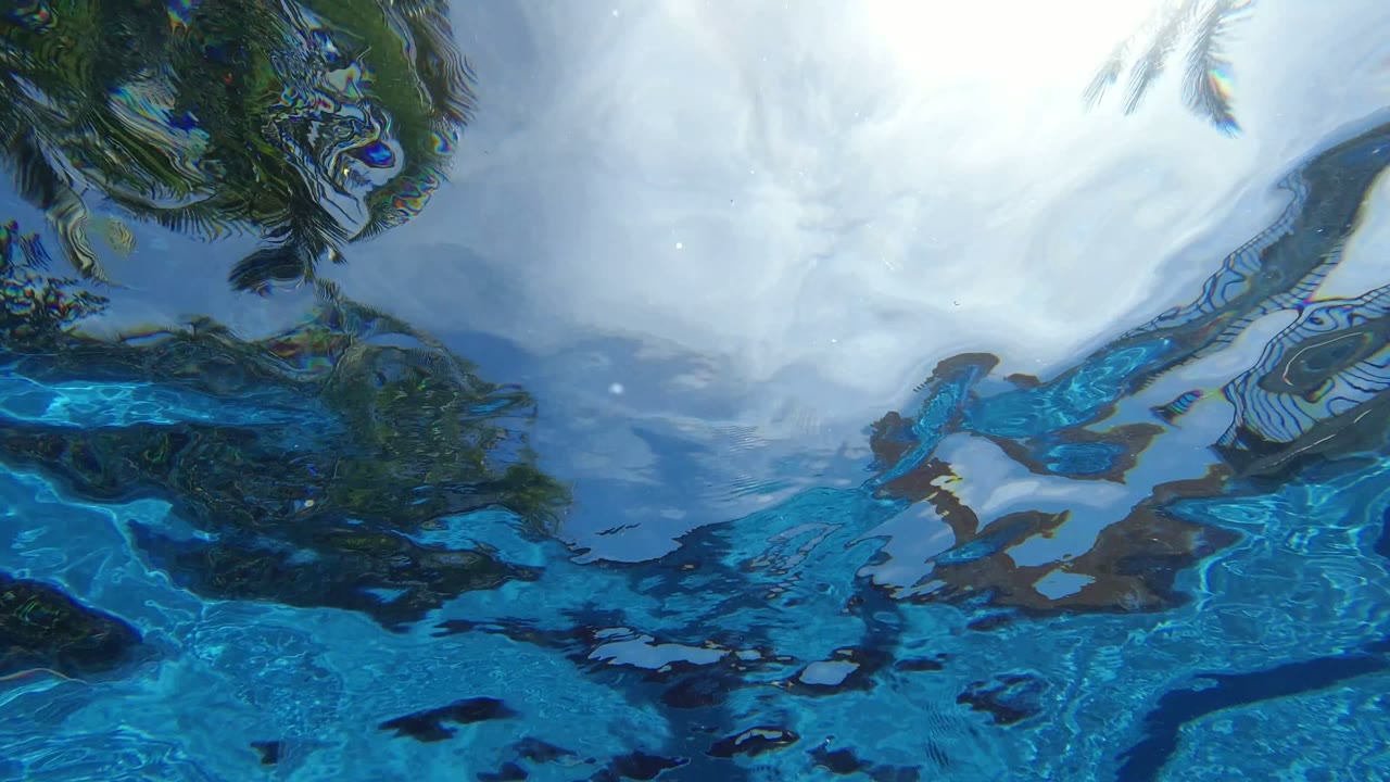 Blue pool water reflecting palm trees and pale sky