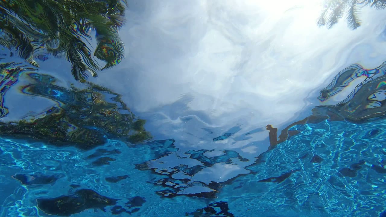 The Los Cabos pool surface shows stronger ripple distortion across reflected palm fronds and white sky, with no visible face or clear person.