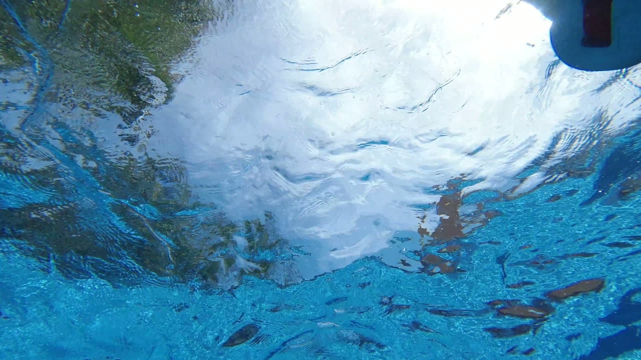 Rippling blue water fills the frame in Los Cabos, Mexico, with bright white sky reflections, green reflected foliage, and darker underwater shapes, no visible people.