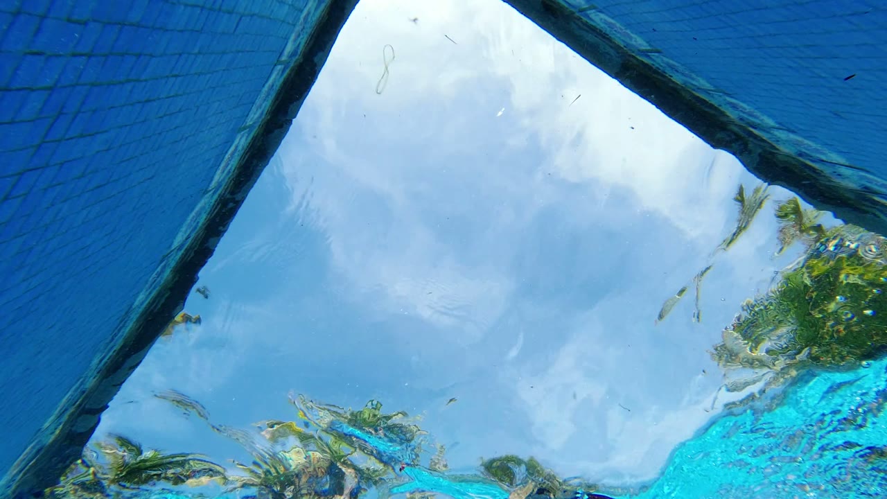 Underwater view in Los Cabos, Mexico showing blue pool water, a diagonal pool edge, reflected clouds, and greenery with no visible people.