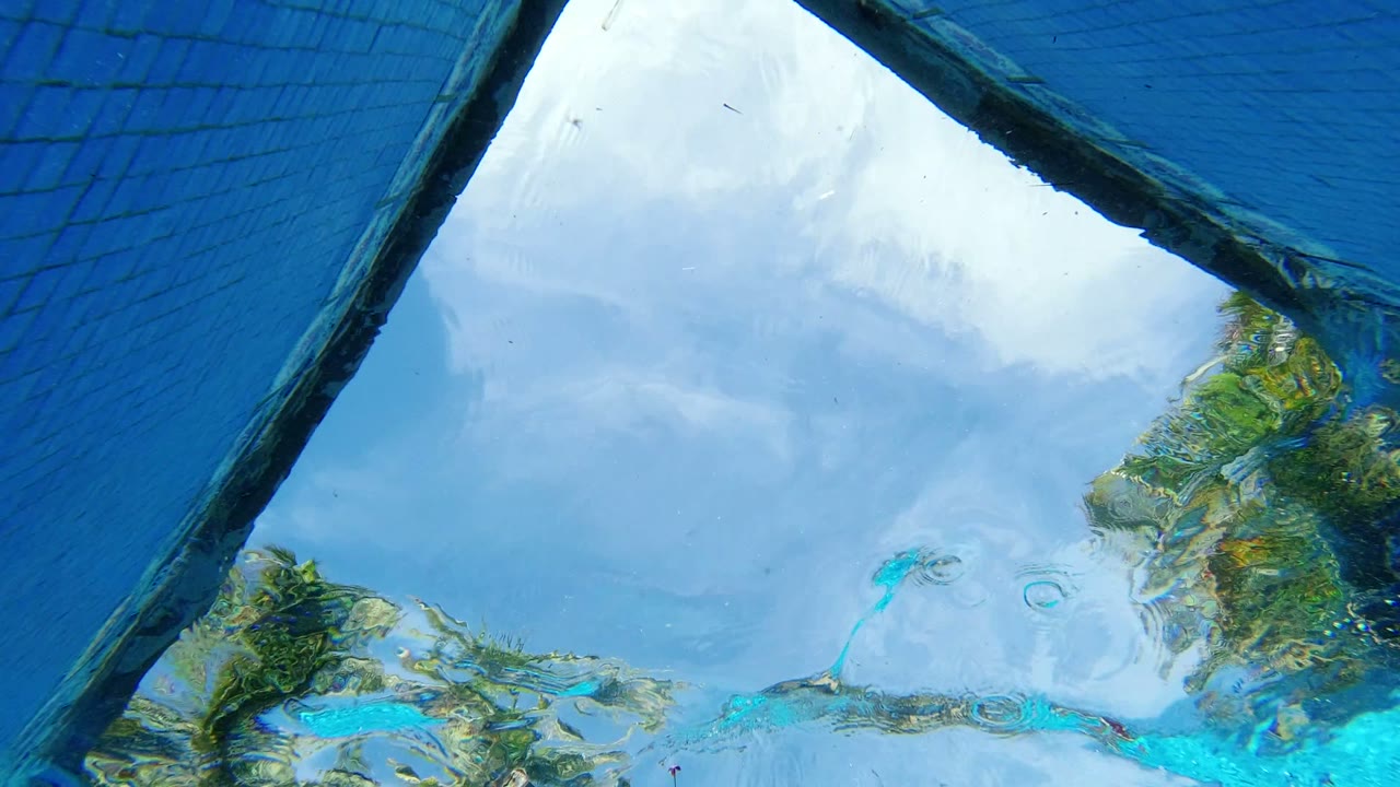 Underwater Los Cabos pool frame with rippled sky reflection, bright blue water, diagonal pool border, and green foliage with no visible people.