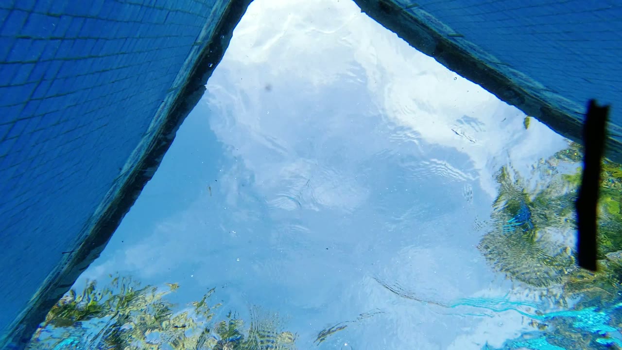 Underwater Los Cabos pool view with rippled sky reflections, a diagonal pool edge overhead, greenery at the side, and a dark vertical object near the right edge, with no visible people.