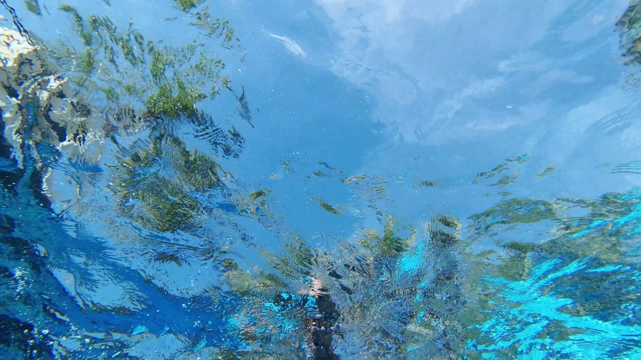 Underwater view of rippled blue pool surface with palm reflections.