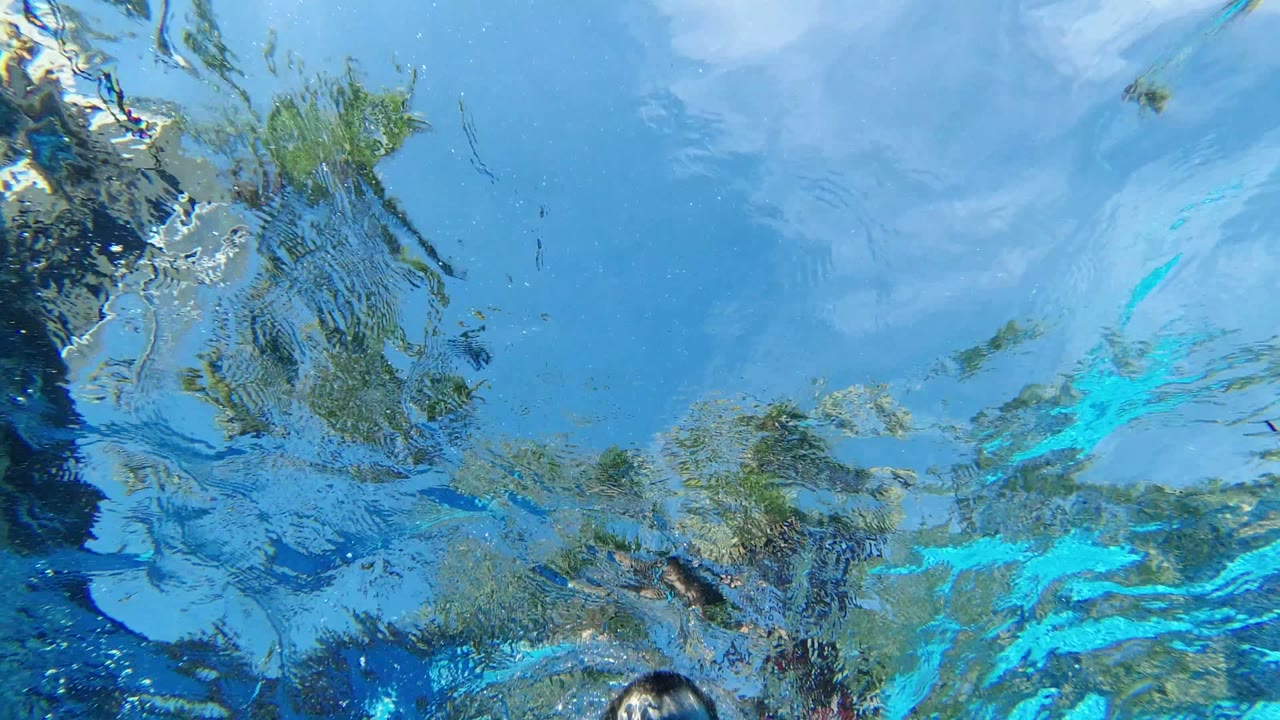 Underwater pool frame in Los Cabos, Mexico, showing blue water, surface shimmer, palm reflections, and a small burst of bubbles near the lower edge with no clear faces visible.