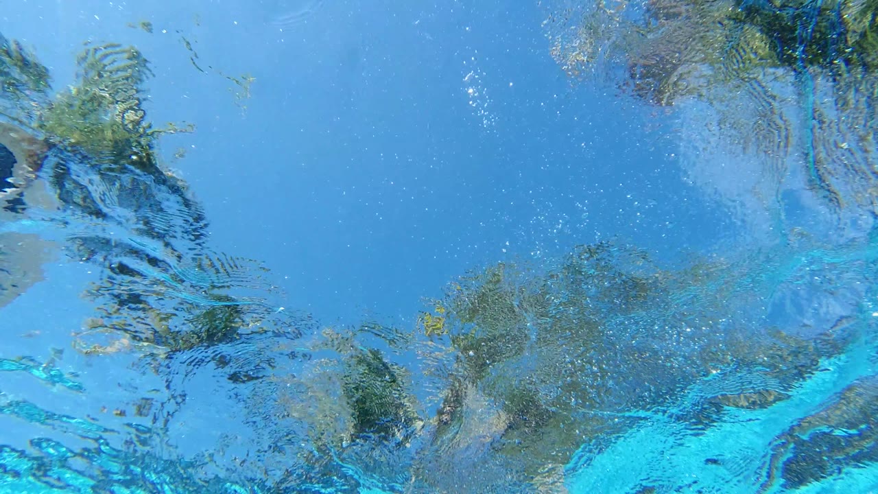 Start frame from Los Cabos, Mexico showing blue water from below with wavering palm-frond reflections, bright sky color, small bubbles, and no visible people.