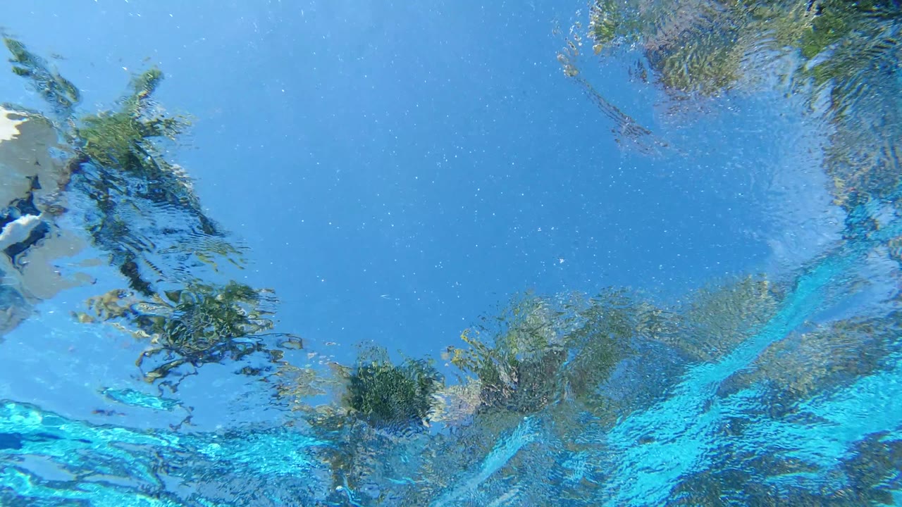 One second into the Los Cabos clip, the water surface carries stretched palm reflections and a bright turquoise band, with no visible people.