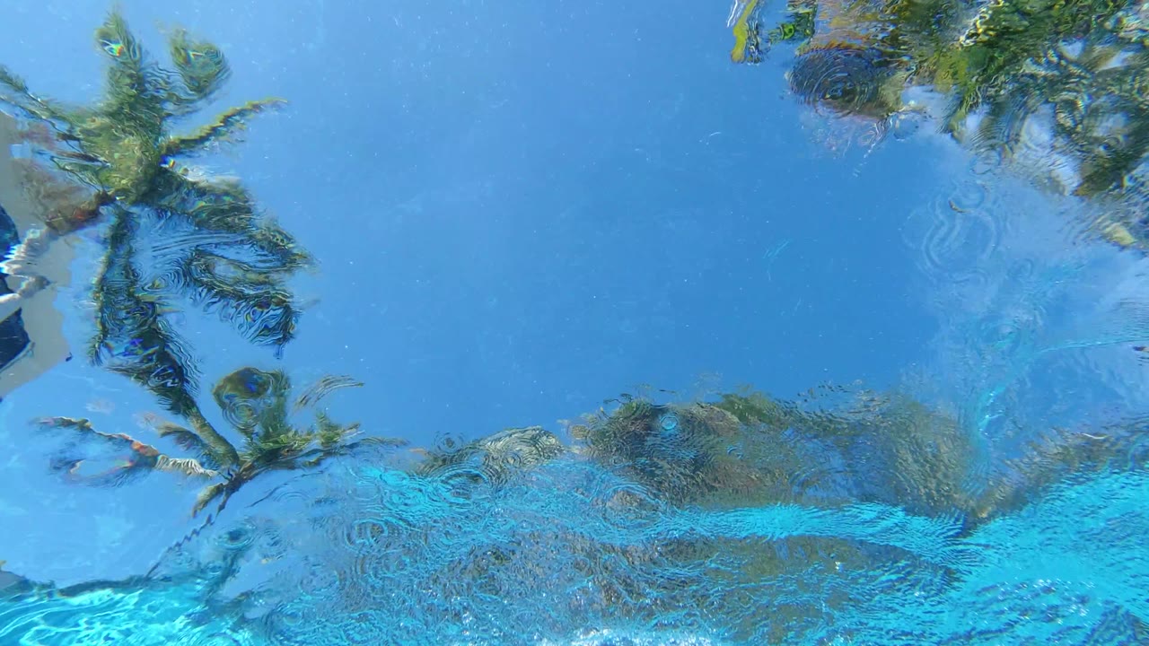 Underwater view of blue pool surface with tree reflections.