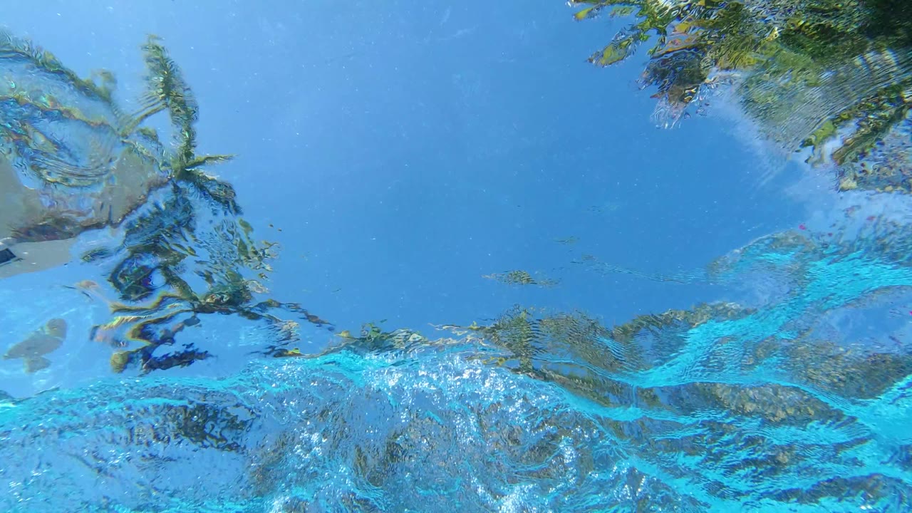 Underwater Los Cabos pool frame with bright blue water, palm-like tree reflections across the upper edge, and no visible people.