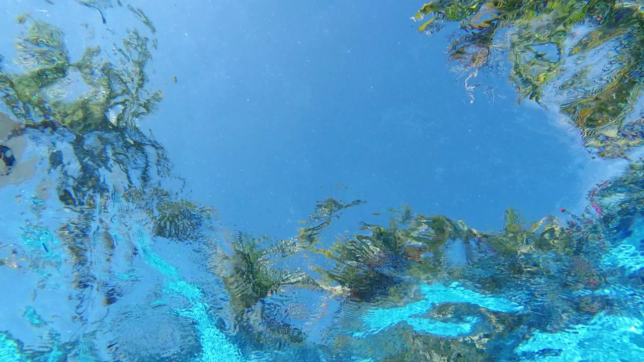 Rippling blue water with distorted palm reflections