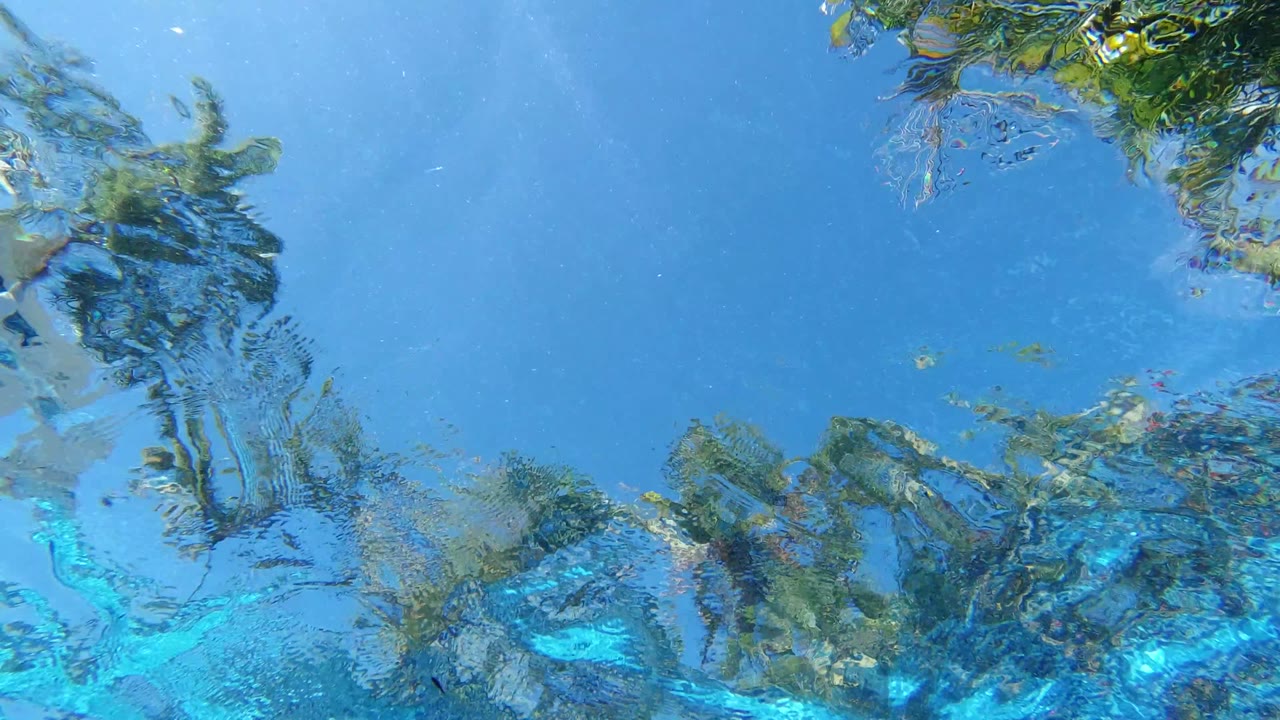 Clear water in Los Cabos, Mexico shows wavering palm reflections near the top and bright turquoise shallows near the lower edge, with no visible people.