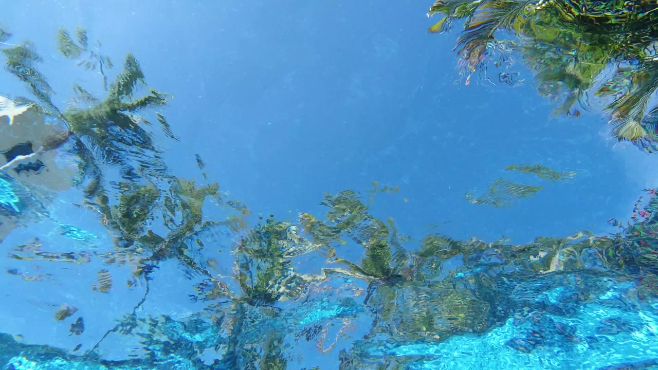 Opening frame from Los Cabos, Mexico showing blue water seen from below, palm fronds distorted across the surface, and no visible people.