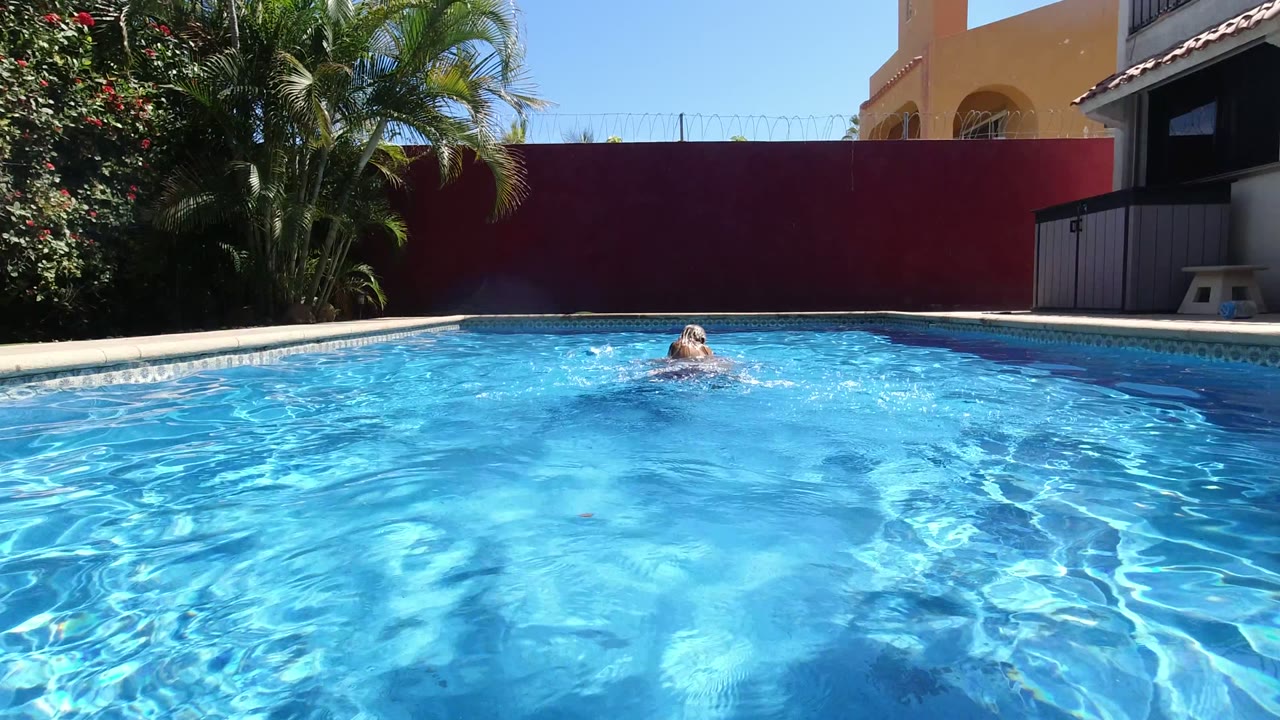 Young swimmer in a bright blue pool with palms and red wall behind.