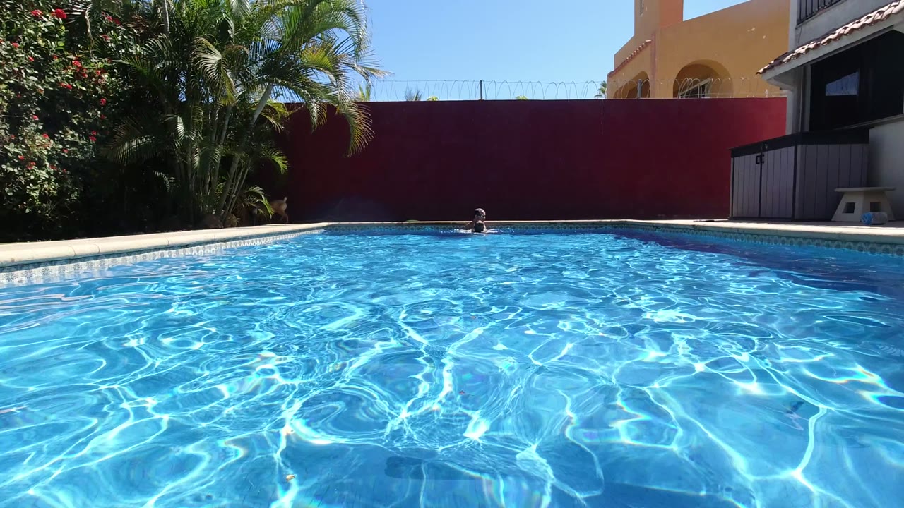 At the start of the Los Cabos clip, clear blue pool water fills the foreground while a small swimmer is near the far edge and a dog stands on the left deck, with no recognizable face visible.
