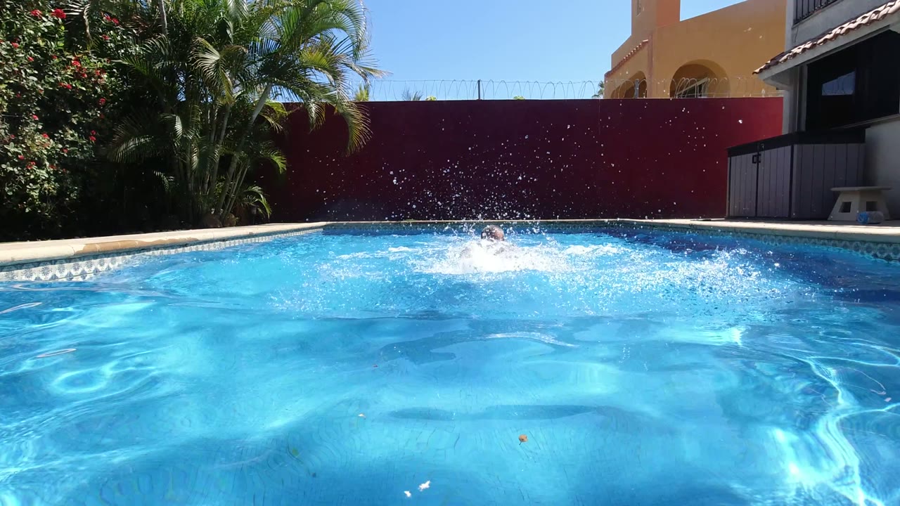 Splashing blue backyard pool with a distant swimmer near the far wall.