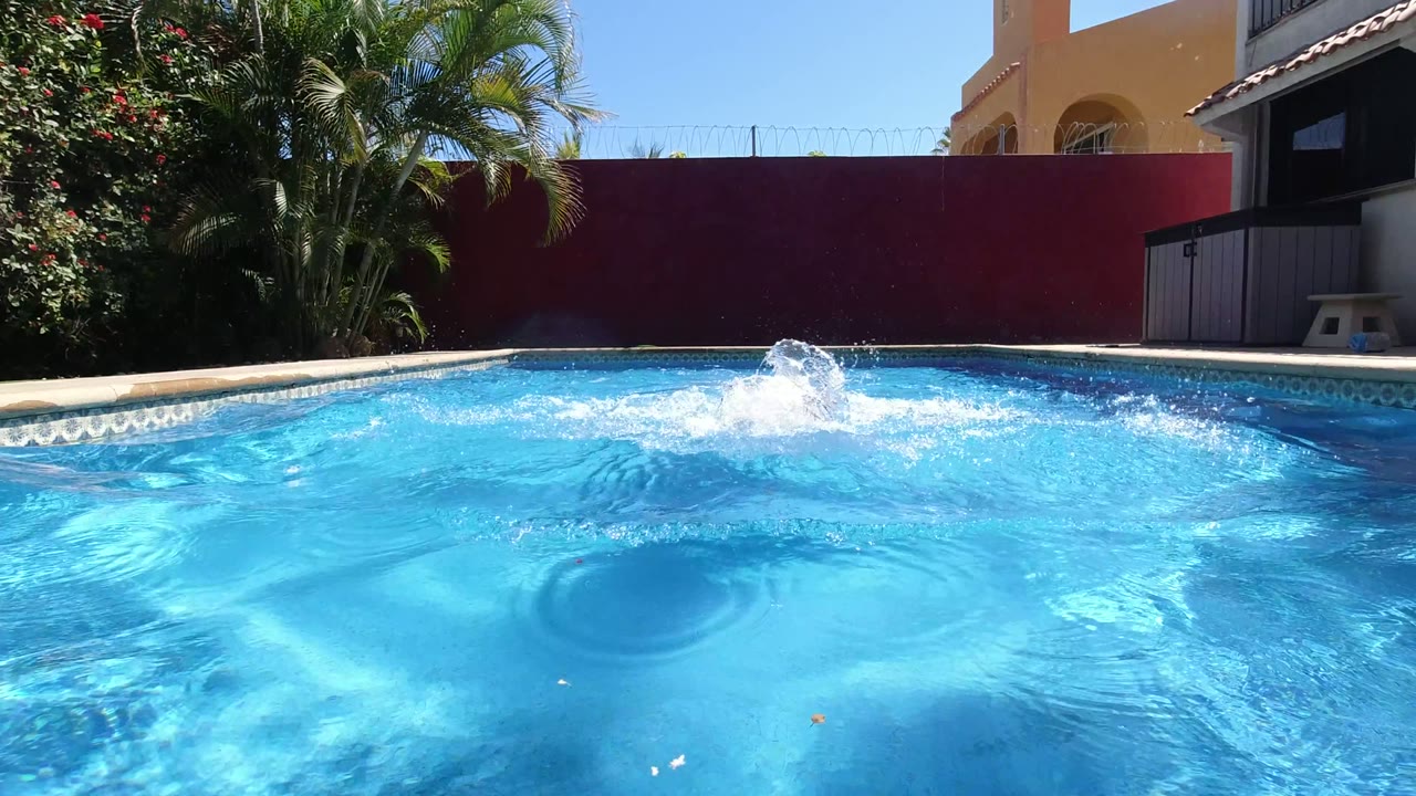 At 0:01 in Los Cabos, Mexico, a large surface splash rises near the far side of the blue pool while the red wall, palms, gate, and house exterior remain in view.