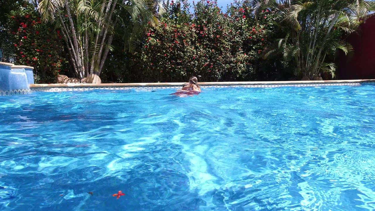 Blue swimming pool with a distant swimmer and tropical plants behind it.