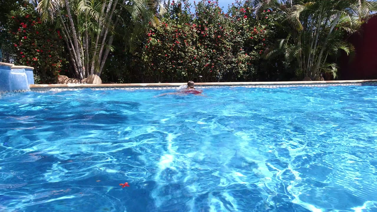 In Los Cabos, a swimmer stays near the far pool edge while sunlight patterns ripple across the blue water and palms rise behind the coping.