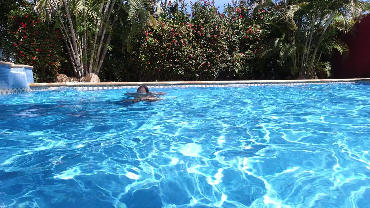 A swimmer's head appears above the sunlit blue pool in Los Cabos, with the far pool edge, palms, hedge, and a small water feature in the background.