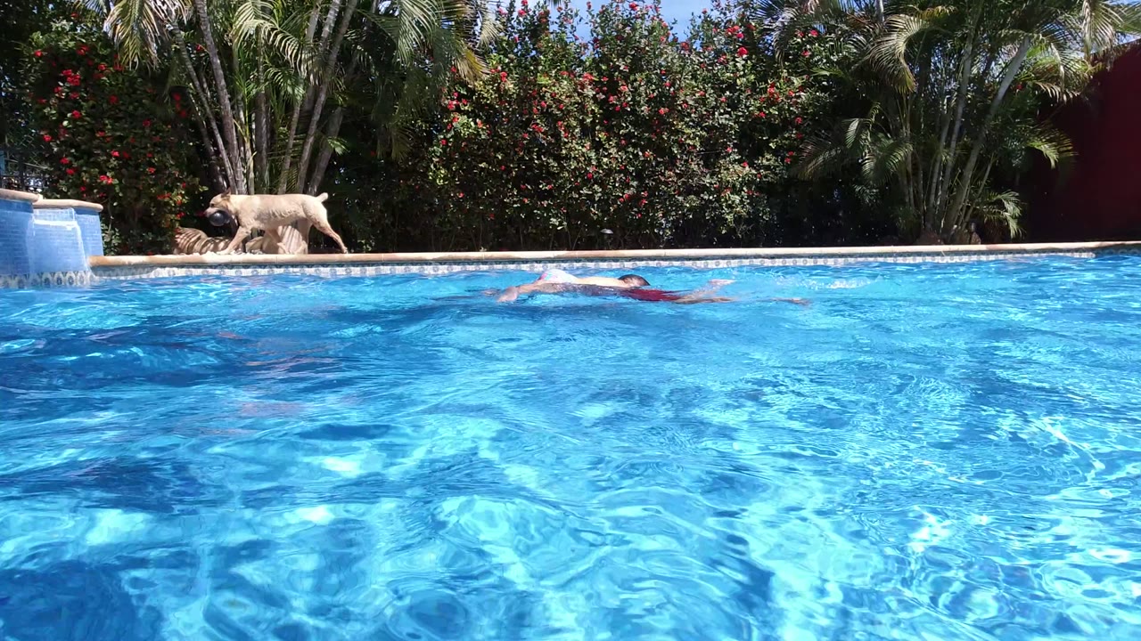 Wide pool-level view in Los Cabos, Mexico, with a swimmer partly visible in bright blue water and palms and flowering shrubs behind the pool edge.