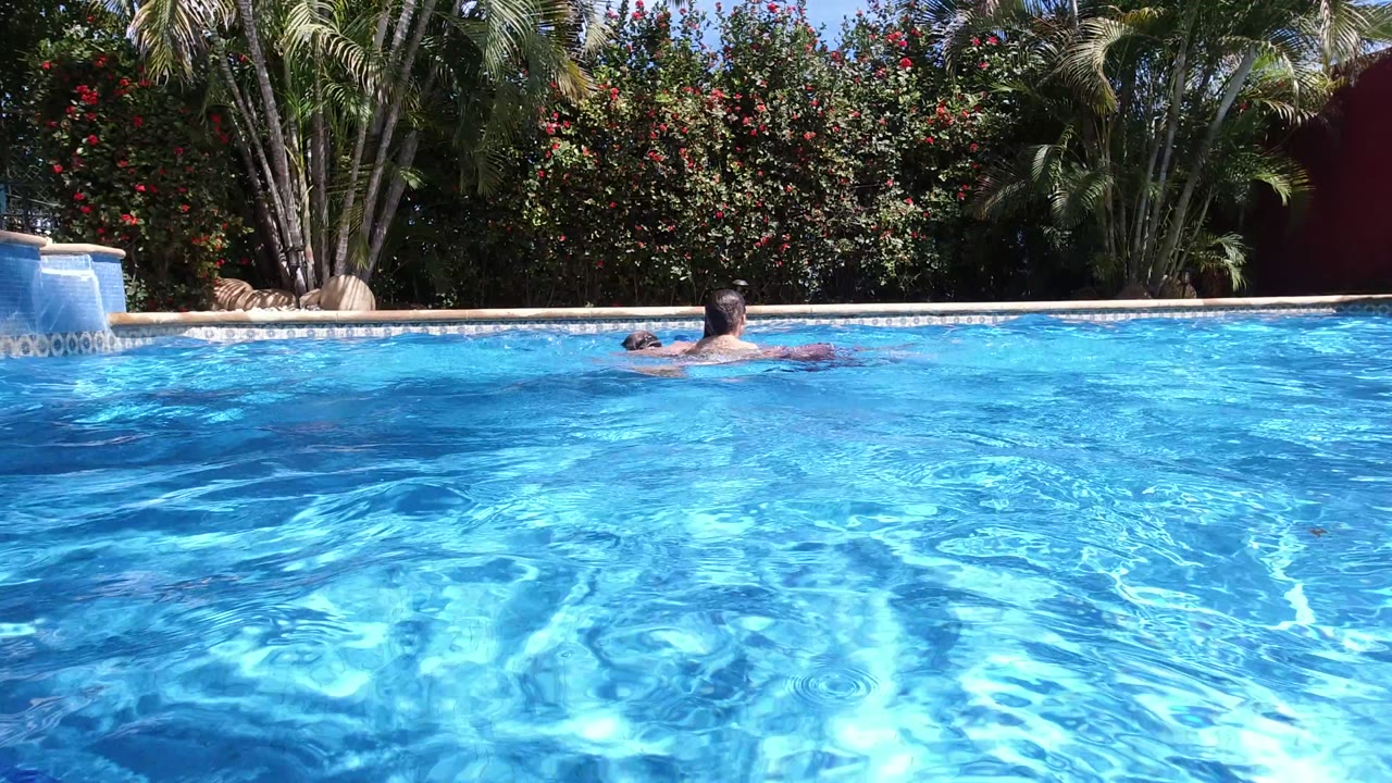 A swimmer moves across the midground of a sunlit Los Cabos pool, with rippled blue water dominating the foreground and dense garden plants behind.