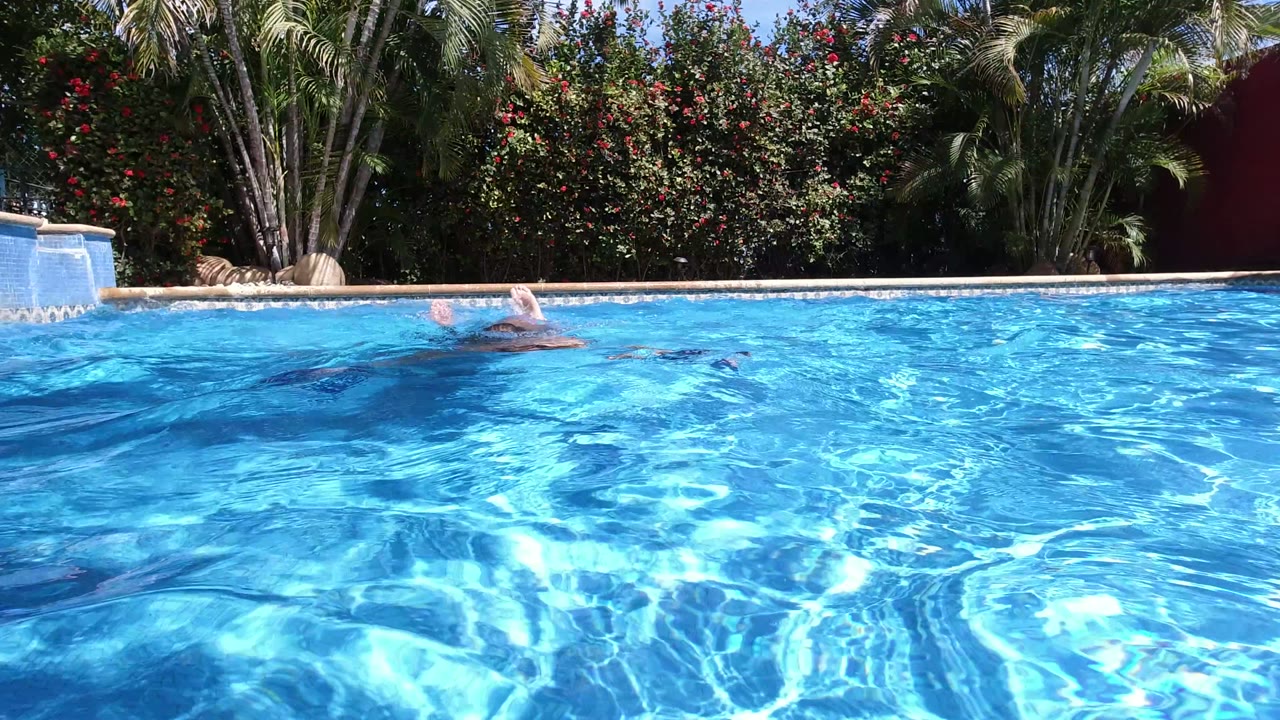 A swimmer is mostly underwater in the Los Cabos pool, with legs and splashes visible against rippling blue water and garden plants behind the pool edge.
