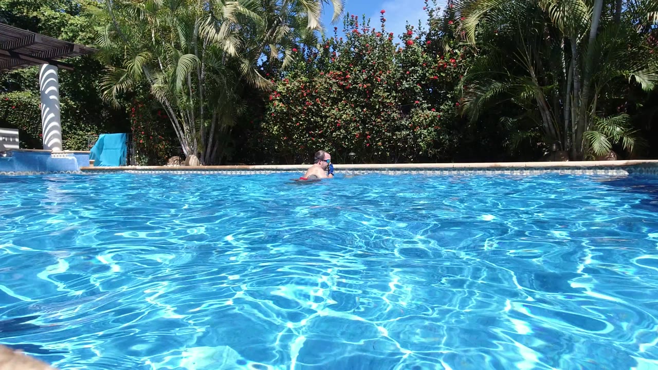 An adult swimmer is partly visible near the far edge of a bright blue pool in Los Cabos, Mexico, with palms, flowering shrubs, and a white column behind the water.