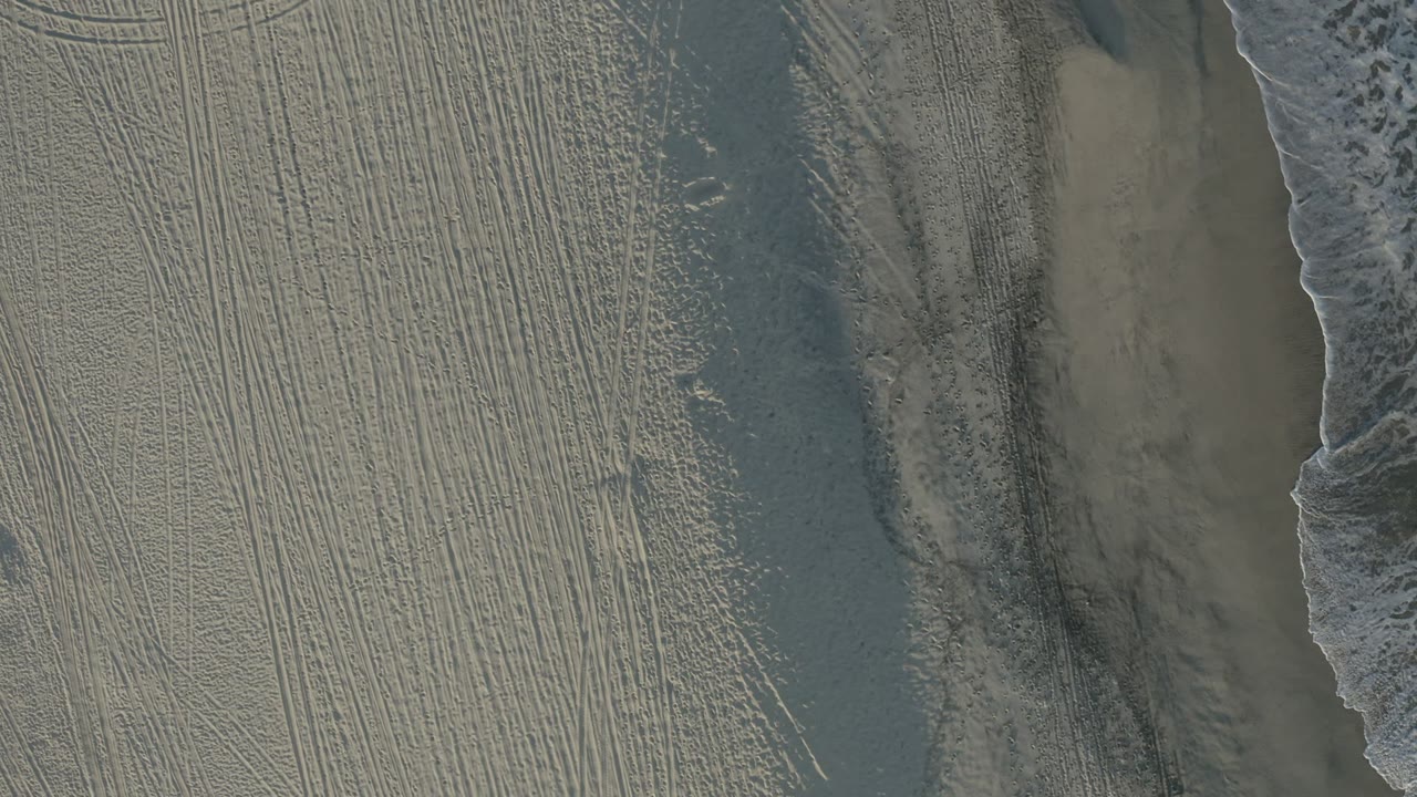 Aerial Los Cabos beach frame with a curved foam edge, gray-green water, marked sand, and no visible people.