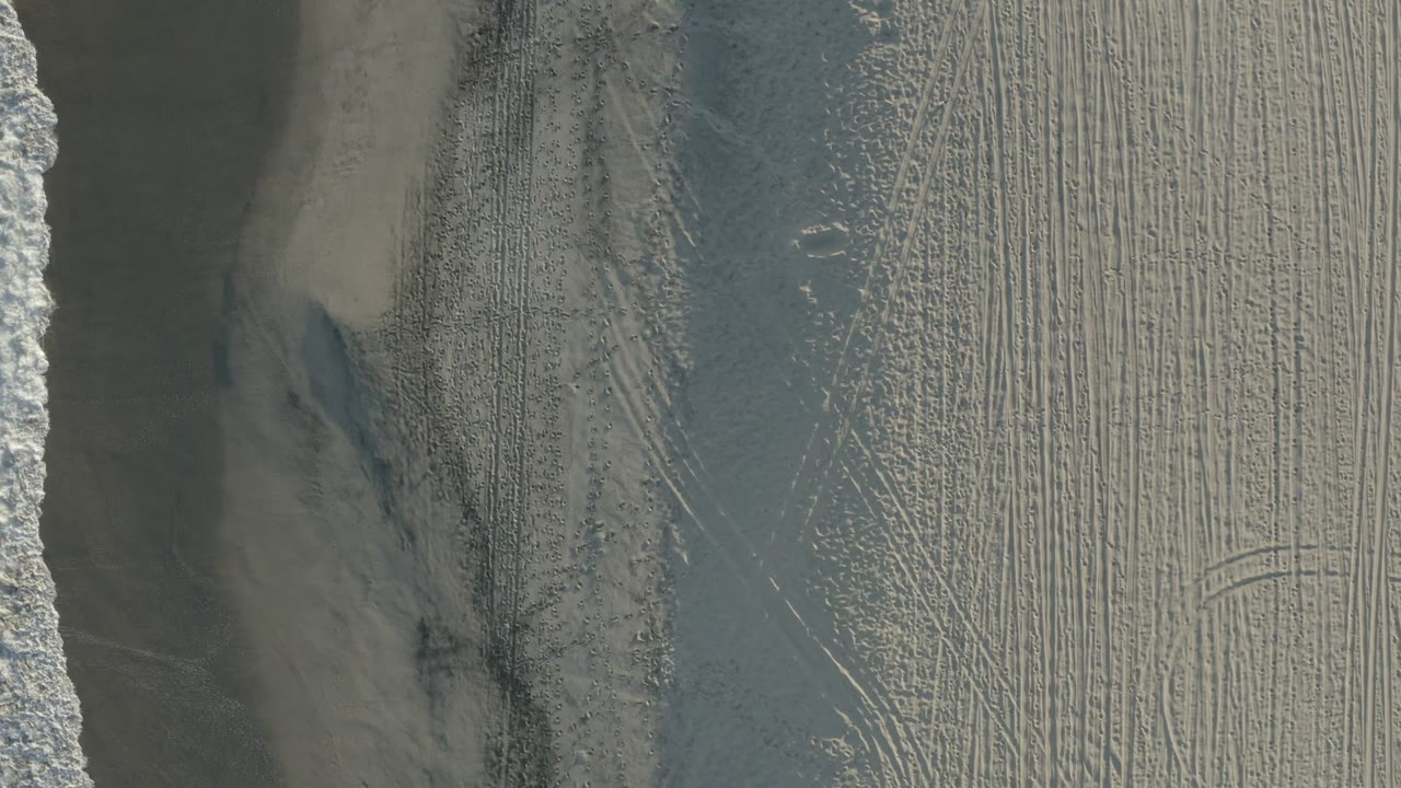 Overhead view of surf, wet sand, and parallel track marks on a beach.