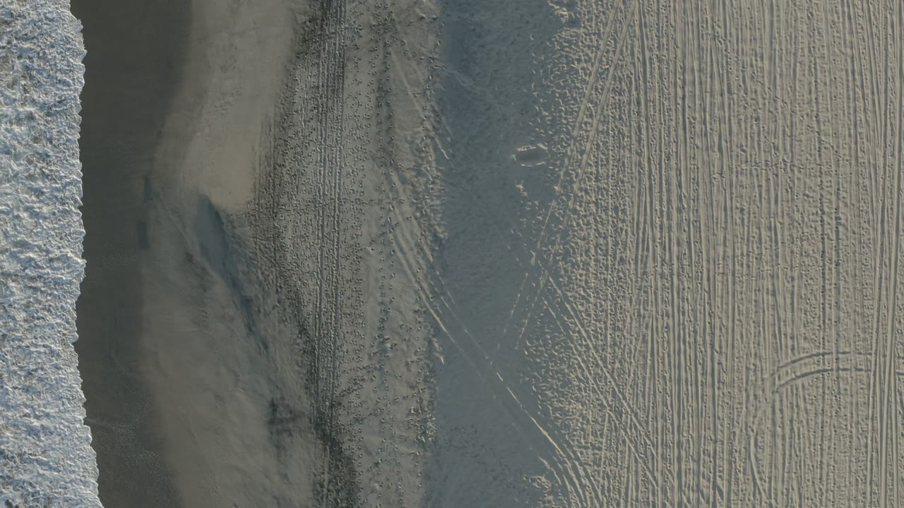 Overhead Los Cabos shoreline view with the foamy water edge tighter to the left side, a darker wet-sand band, dense linear tracks across pale sand, and no visible people.