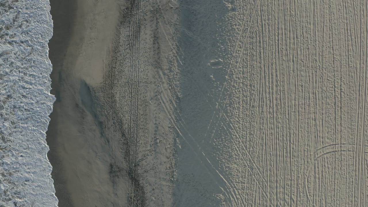 Overhead Los Cabos beach frame with surf foam along one side, a central strip of damp sand, pale sand scored by many straight and curved tracks, and no visible people.