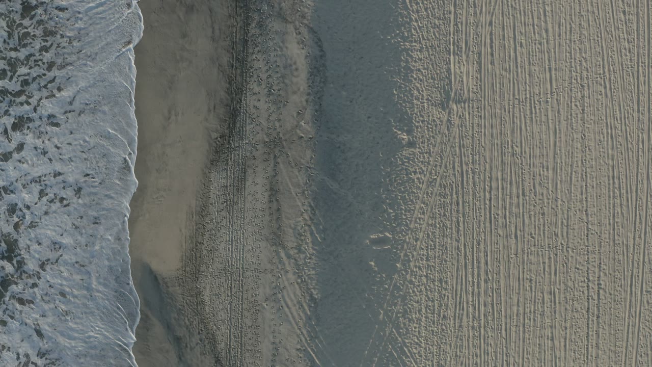 Overhead surf line beside tire-marked beach sand.