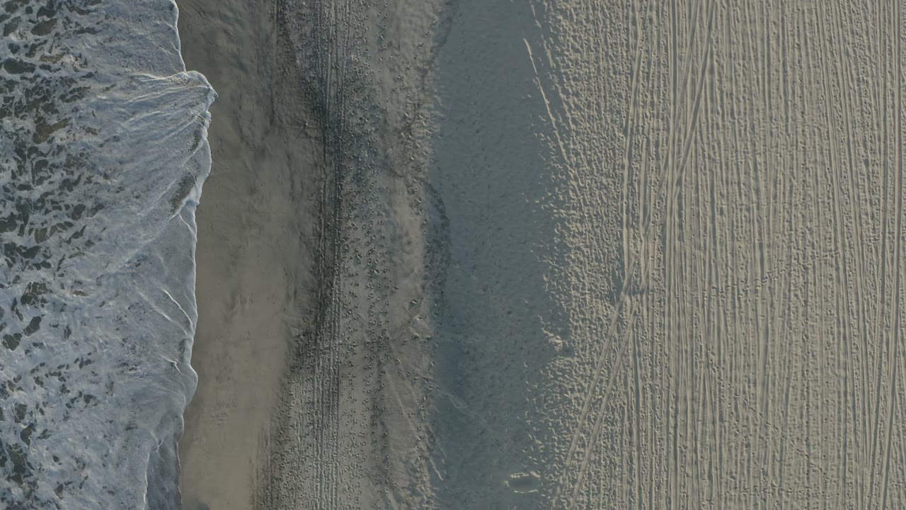 Aerial Los Cabos shoreline frame with a curved band of white surf pushing into gray-blue wet sand and tracked beach surface, no visible people.
