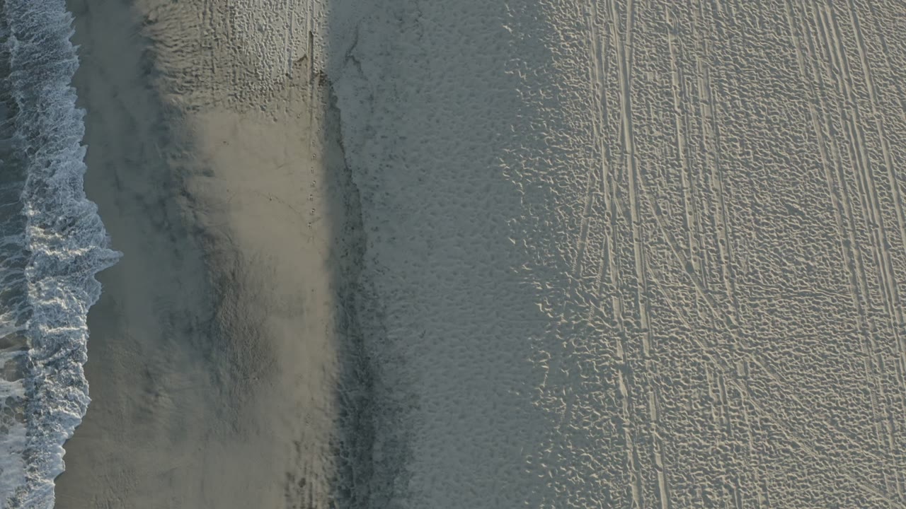 Overhead Los Cabos shoreline frame with a narrow white foam band, darker wet sand, pale tracked sand, and no visible people.