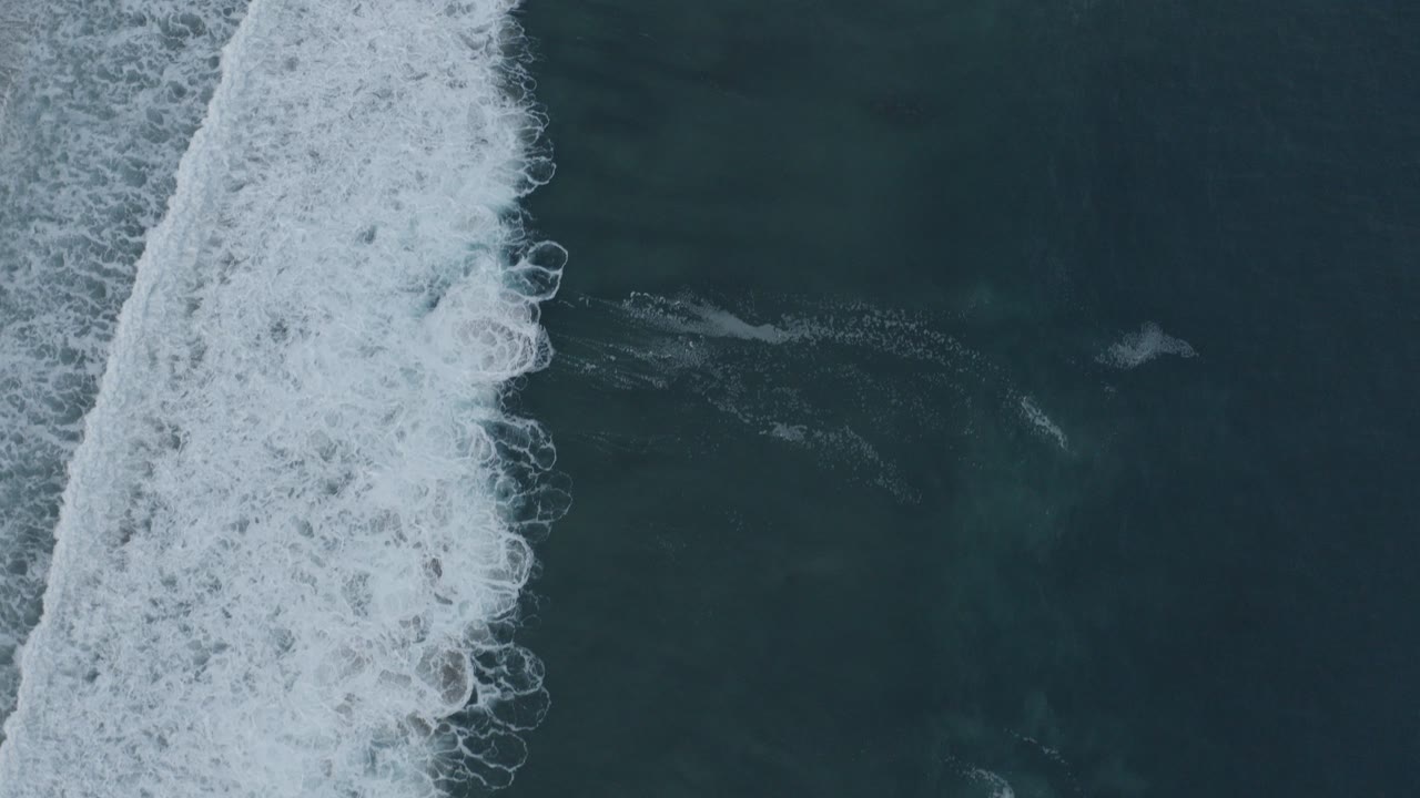 Overhead view of white surf breaking beside dark ocean water.