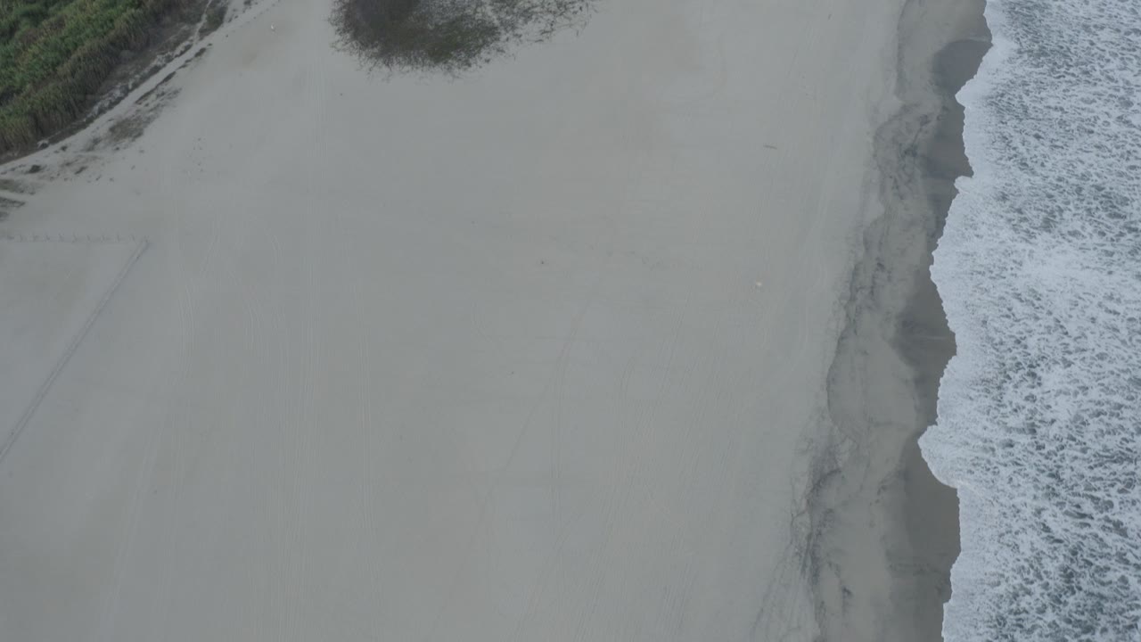 High aerial view of a Los Cabos beach with pale sand, white surf along the right edge, and dune vegetation near the top, with no visible people.