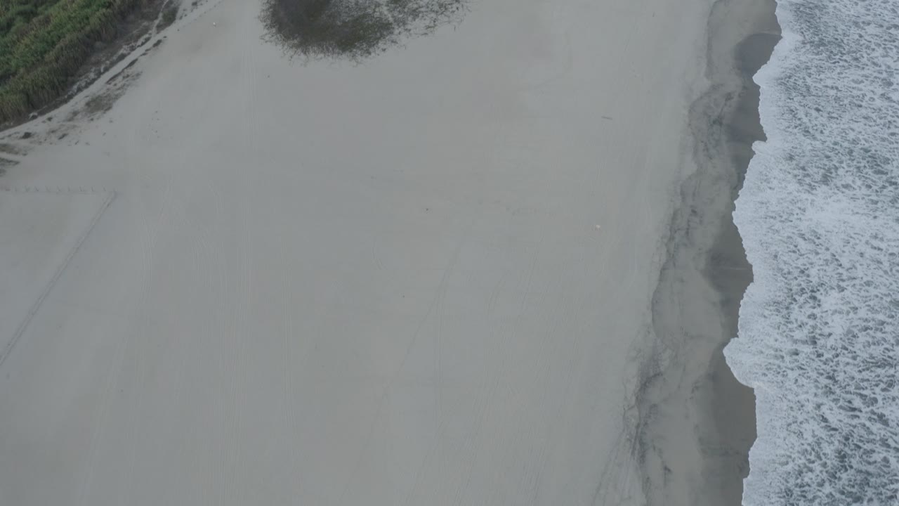 Aerial Los Cabos shoreline frame with a vertical band of breaking surf, open sand, and coastal shrubs at the upper right, with no visible people.