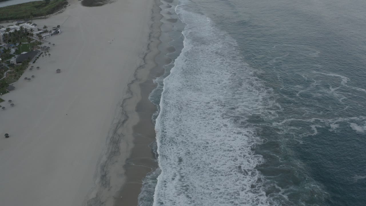Aerial view of waves breaking along a sandy beach beside coastal trees.