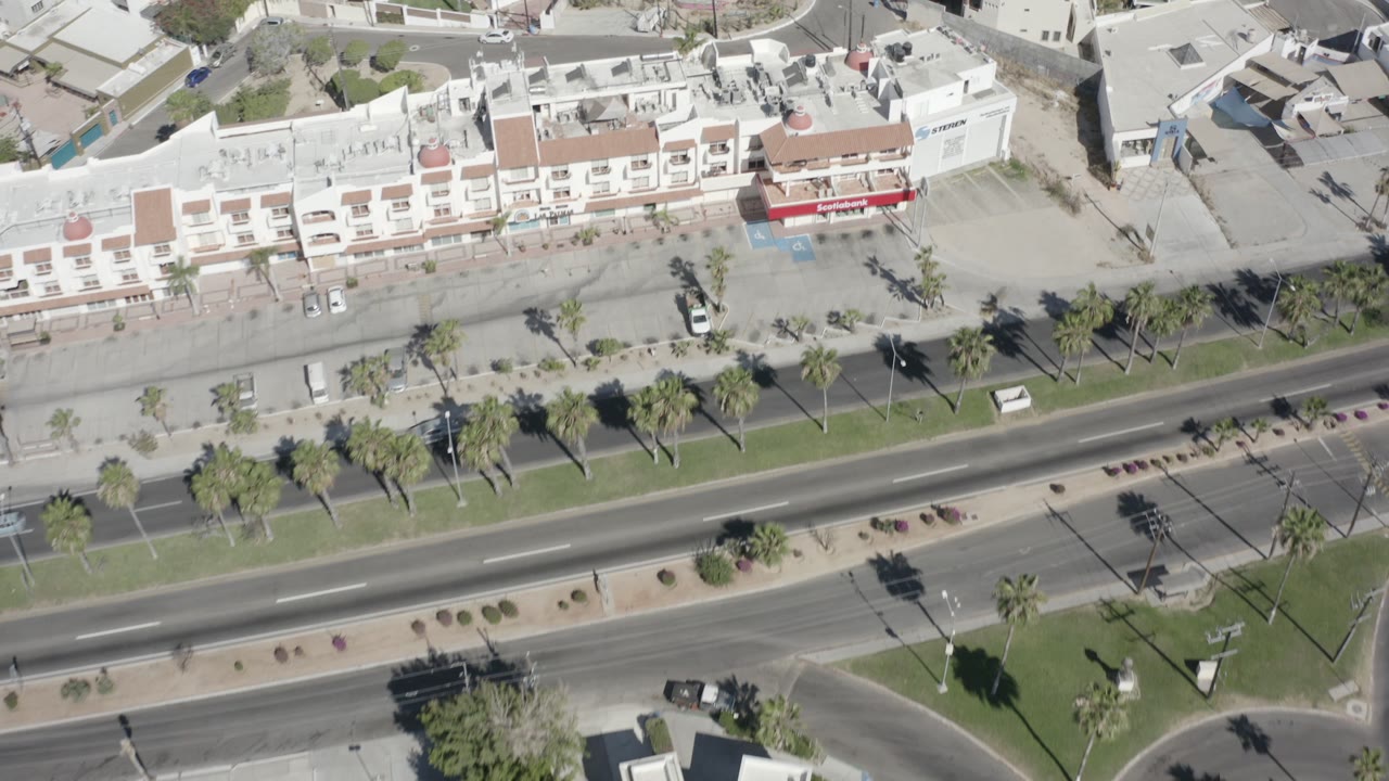 Overhead drone frame in San Jose del Cabo, Mexico, showing pale low-rise buildings, a palm-lined divided road, planted medians, and parked cars in bright sun.