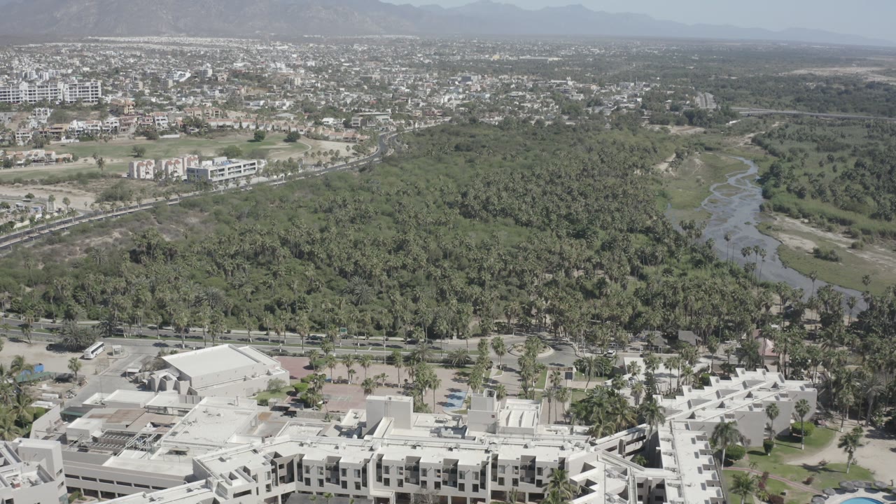 Aerial view over pale buildings, palm-lined road, dense trees, and distant town.