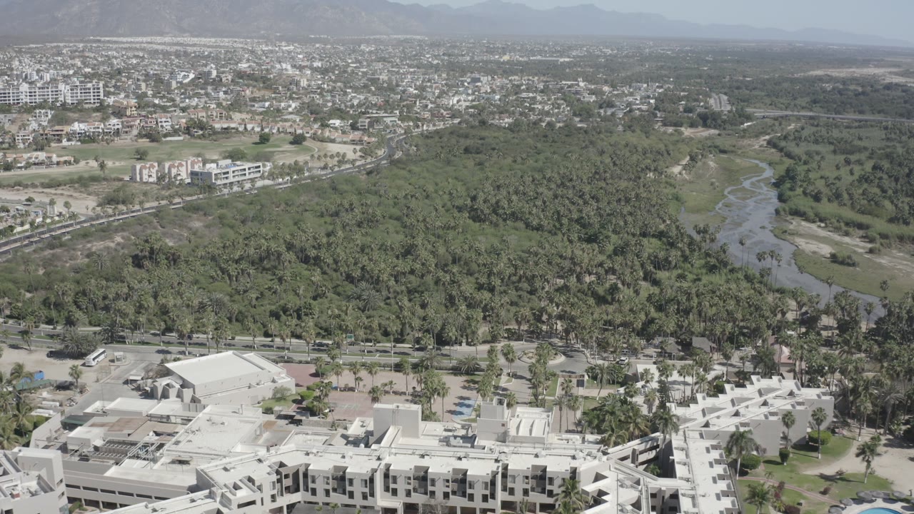Aerial frame in San Jose del Cabo looking across dense green canopy and a winding water channel, with a road and white buildings below and no visible people.