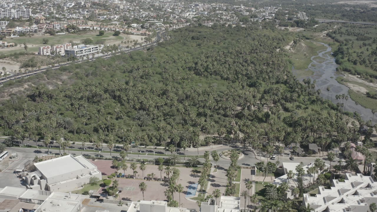 Aerial view of dense green trees, roads, rooftops, and distant low-rise buildings.