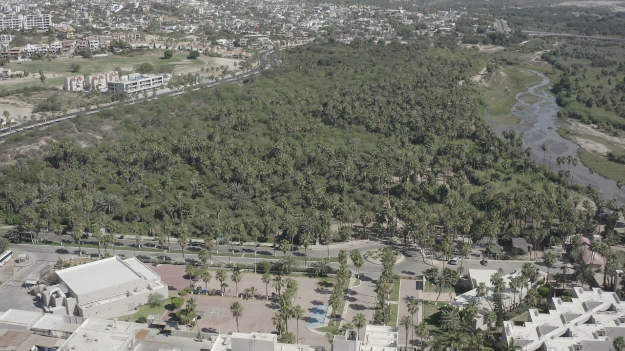 Early aerial frame in San Jose del Cabo, Mexico, with forest filling the center, a road and rooftops along the lower edge, distant buildings above, and no visible people.